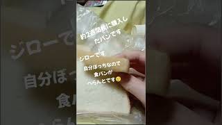 無題の動画 ‐ すごいぞアイラップ！ #アイラップ  #すごいぞ #長期保存 #ライフハック #ヒロシです #ガラスの部屋