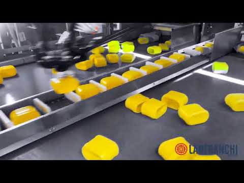 Robotic Unscrambler with tilting conveyor - Lanfranchi Group