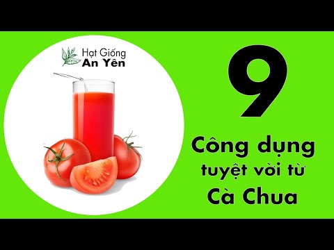 , title : '9 công dụng tuyệt vời của cà chua | Hạt Giống An Yên Shop'