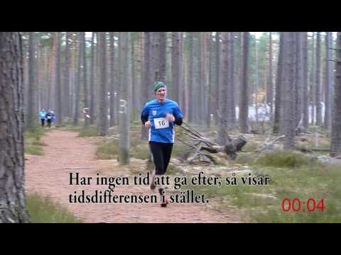 Närkes Terräng-DM (långa) 2016 - Män 12 km