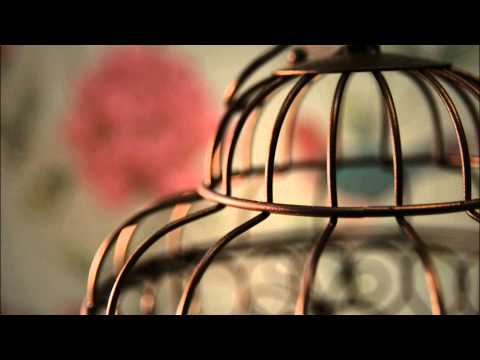 Julian Rodriguez & Martin Berger - Birdcage (Alex Villanueva & Kaban Remix)