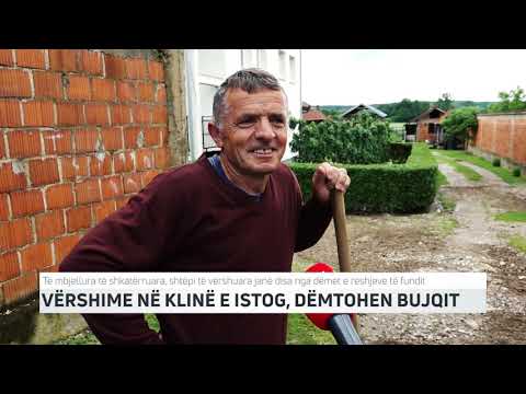 VËRSHIME NË KLINË E ISTOG, DËMTOHEN BUJQIT | T7