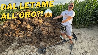Incredibile ma Vero! Dal Letame Saltano Fuori Monete d’Oro e un Anello da Favola! 🤯