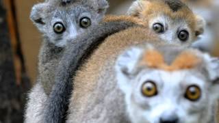 Ron Goodwin & His Orchestra - Theme Miss Marple's