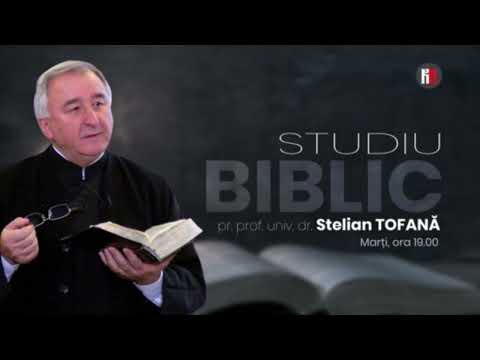 Maica Domnului în Sfânta Scriptură P2 (Pr. Prof. Stelian Tofană)