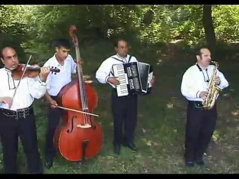 Ceteraş de pe Câmpie - Învârtită