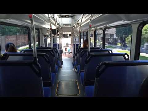 Forest Coach Lines - 6798 - MAN 19.320/Custom Bus CB80[Terrey Hills](271 - Austlink)
