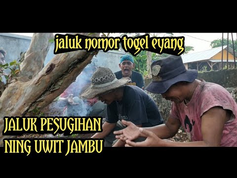 film-pendek-bahasa-jawa-serang-komedi-ngimpu-nomor-togel