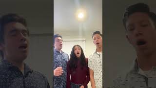 Love In Any Language - by @sandipattymusic - cover by the Cerna Siblings #christianmusic