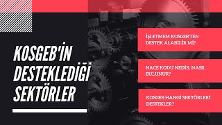 Kosgeb'in Desteklediği Sektörler - Nace Kodu Nasıl Bulunur? Ekosistem 