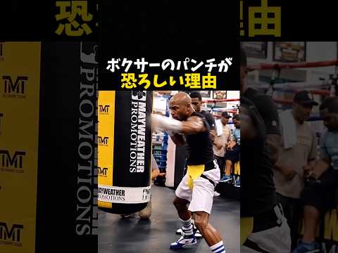 ボクサーのパンチが恐ろしい理由 #ボクシング #格闘技 #boxing
