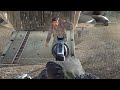 MW2 Roach Claps Shepherd