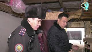 Видео