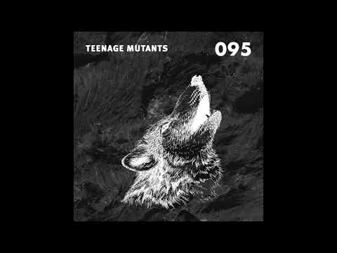Stil vor Talent Podcast 095 - Teenage Mutants