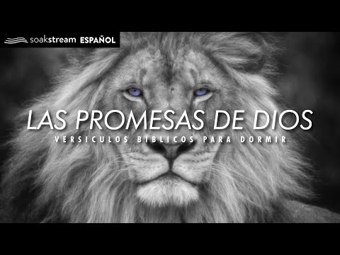 Las Promesas de Dios | Versiculos Biblicos Para Dormir