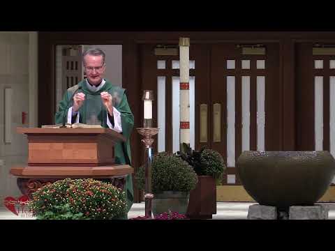 Video Homily: Sinful Indifference