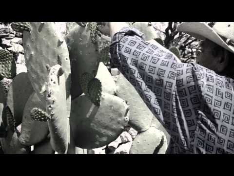 Mi Viejo Roble- Marco Flores y La Jerez