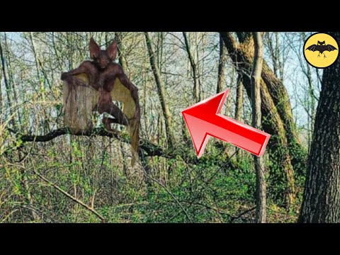 5 Terrifying Creatures Spotted in the World.