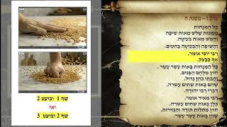 משניות מנחות פרק ו משנה ה
