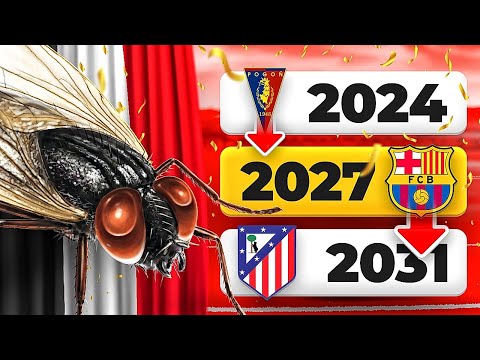 🪰 🔄 Zresetowałem karierę MUCHY w FC25! 🔄 🪰