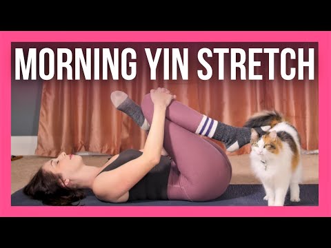 20 min Morning Yin Yoga Full Body Stretch - NO PROPS (with Cleo!)