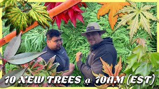 Download lagu WEEPING, VARIEGATED, and CORAL BARK Maples! (Ultimate 10@10) MrMaple.com mp3