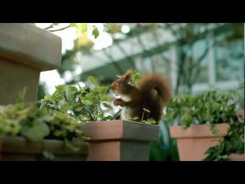 TV Spot Billes Hauert