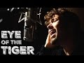 Eye Of The Tiger - Survivor (Cover - Official Video ...