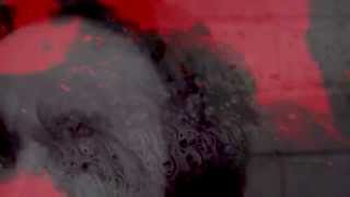 Laura Palmer - 29 Years (official video)