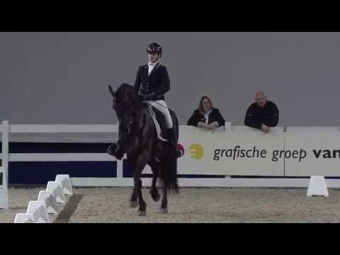 Friesian Talent Cup Deel1