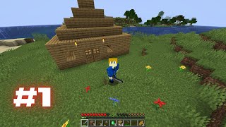 Welcome to Minecraft || Minecraft Survival #1
