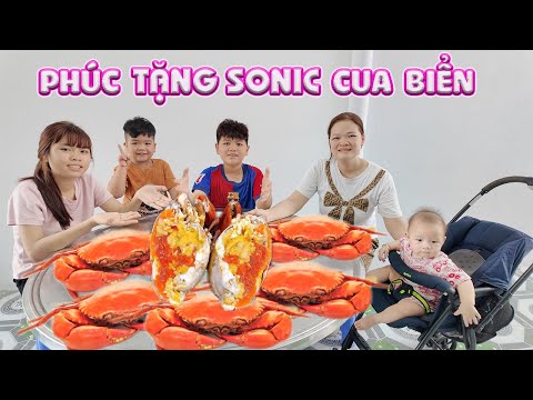 Phuc and Trang's Mom Gives Me Sonic Crab Full of Bricks #trangvinhne