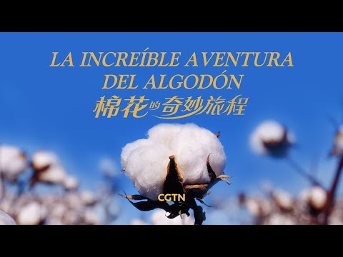 La increíble aventura del algodón | Documental