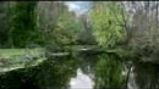 'mother earth'... mattbear