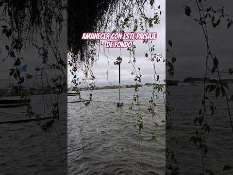Isla de flores #foryou #travel #shortvideo