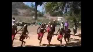 Zimbabwe Traditional Dance 