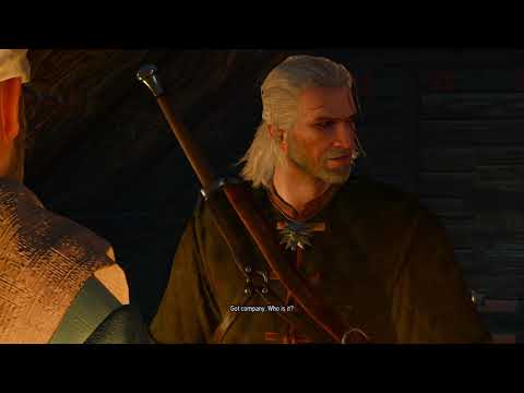 Witcher 3   Wild hunt   The nilfgaardian connection part 1