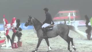 Video von S.I.E.C. Captain Future Z