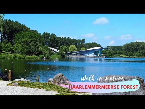 HAARLEMMERMEERSE FOREST, HOOFDDORP, NETHERLANDS | 4K WALK IN NATURE | 🎧 no talking | MEDITATION ASMR