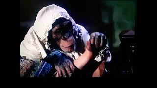 Monkey&#39;s, Go Home Stockinged Foot Tickle Scene