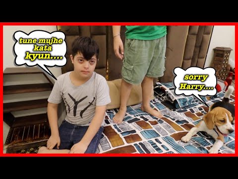 Harry ko kat liya Buffy ne😭 | omg | JOGI MJ