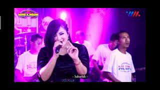 Download lagu lagu viral tik tok story WA new pallapa ayu arsita mp3