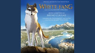 You Will Find a Home