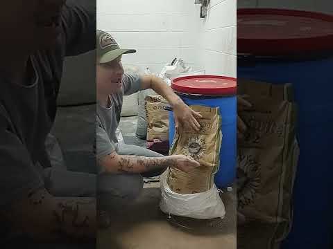 sul-po-mag lengbeinite K-mag rant