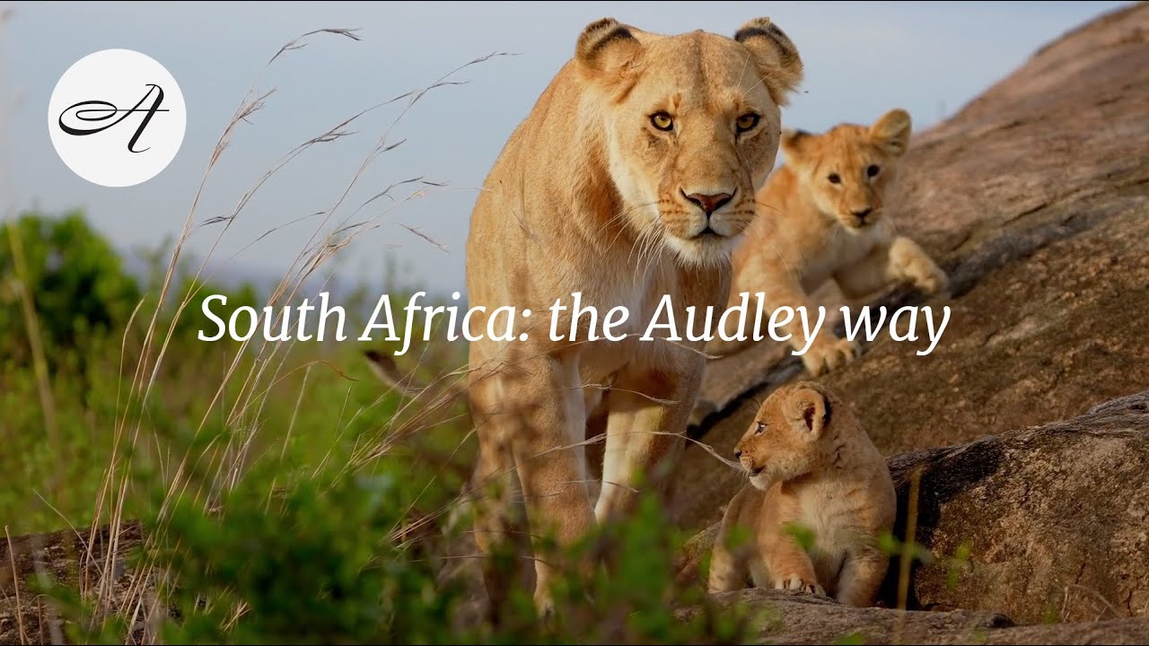 South Africa: the Audley way