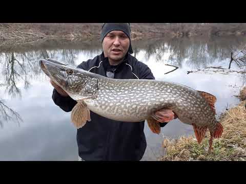 PANIC & Stuka 1 ( Juzna Morava )