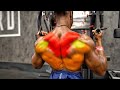 10 CABLE EXERCISES FOR A COBRA BACK