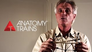 A great explanation of the body and what I work with