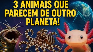 3 ANIMAIS QUE PARECEM DE OUTRO PLANETA! 🌎😱