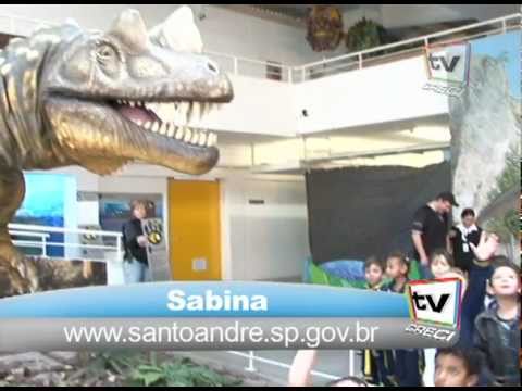 CRECI Informa - Edição 217